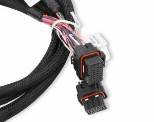 Holley EFI - Injector Driver Harness 558-219 - Image 4