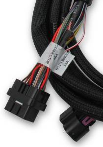 Holley EFI - Holley EFI Ford Coyote Ti-VCT Sub Harness (2013-2017) 558-125 - Image 3