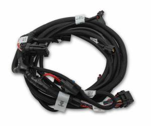 Holley EFI - Holley EFI Ford Coyote Ti-VCT Sub Harness (2011-2012) 558-124 - Image 1