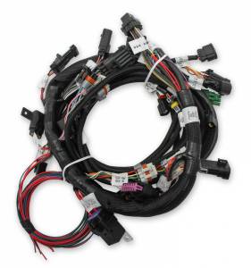 Holley EFI - Holley EFI Ford Coyote Engine Main Harness w/ Ti-VCT and stock coils (2011-2017) 558-110 - Image 1