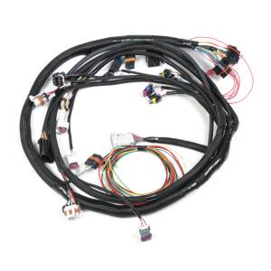Chevy Harnesses - LS Harnesses - Holley EFI - LS2/3/7+ (58x/4x) Engine Main Harness 558-103