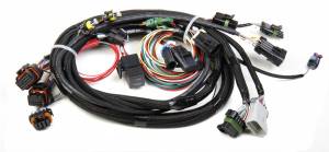 Chevy Harnesses - Small Block Harnesses - Holley EFI - TPI/Stealth Ram Main Harness 558-101