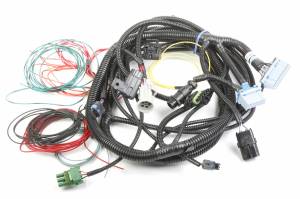 EFI-Fuel Injection - Legacy EFI parts - Holley EFI - Replacement Main Wiring Harness 534-182