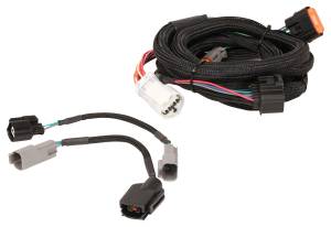 Transmission Control - Standalone - MSD - Trans Controller Ford Harness AODE/4R70W, 1998-Up 2772
