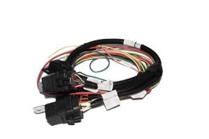 FAST Electric Fan and Fuel Pump Harness for XFI 301406