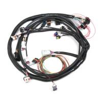 EFI-Fuel Injection - Harnesses